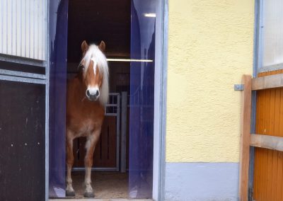 Essentalhof: Boxen-Impressionen (4)